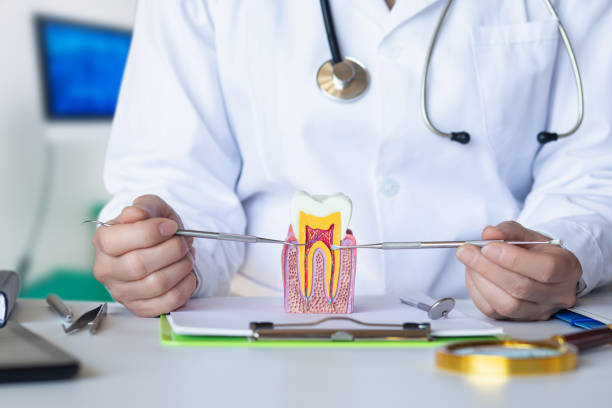 Best Emergency Root Canal Treatment in Una, WA